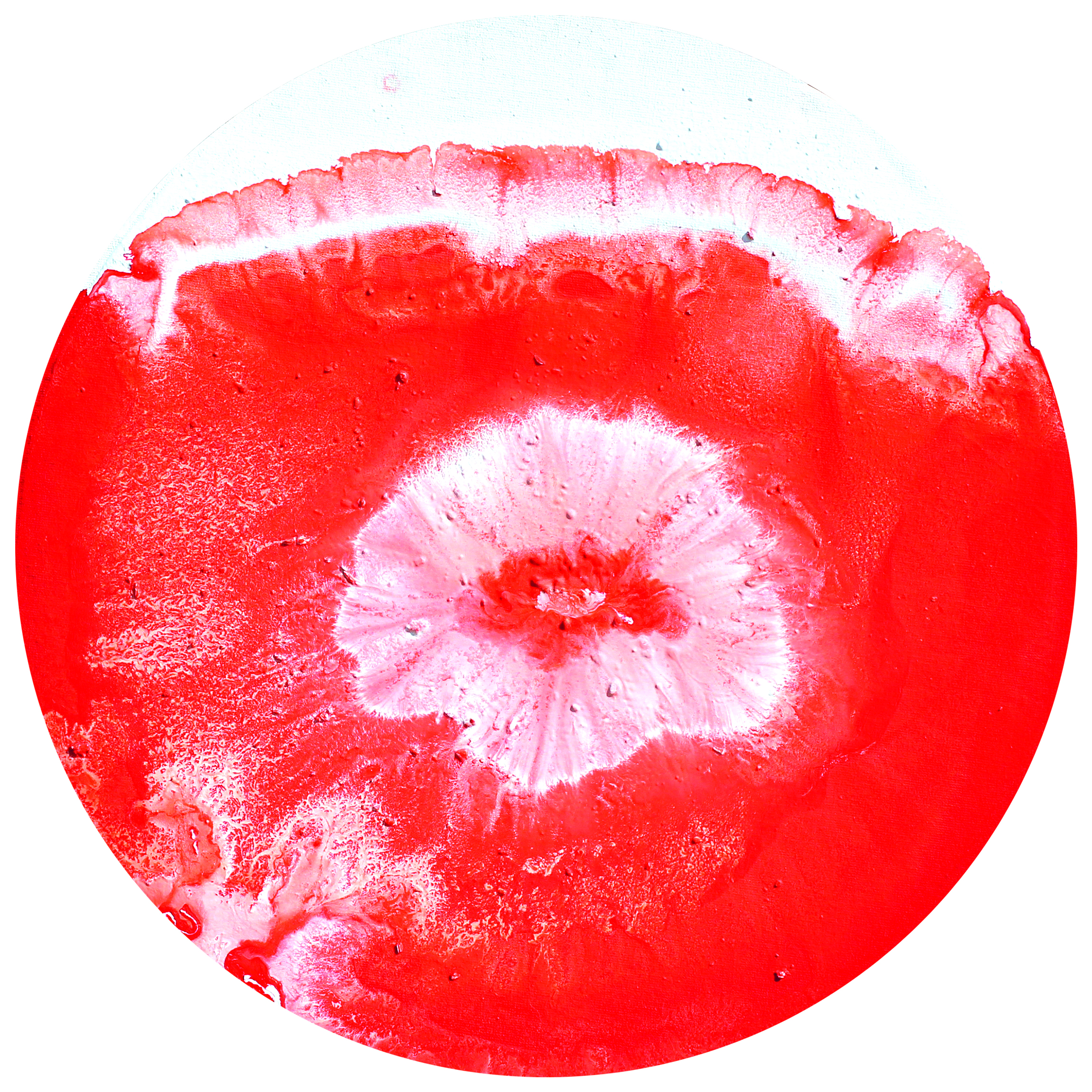 мак-медуза копія